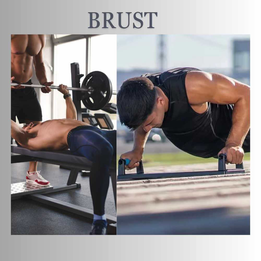 PowerLift - das ultimative  Push-Up Board
